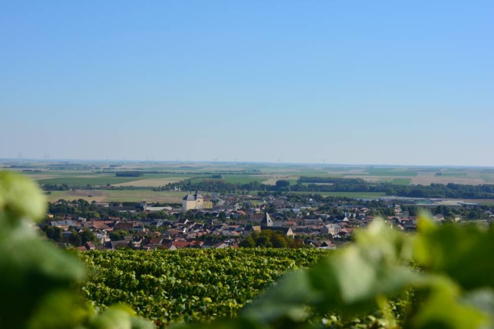 Séjour œnotouristique près de Épernay 
