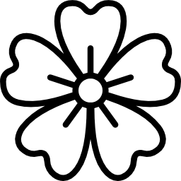 003-acanthaceae.png